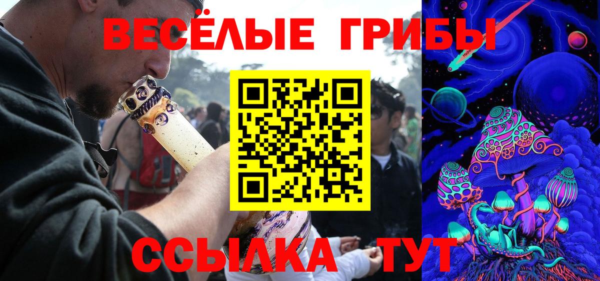 Псилоцибиновые грибы мицелий Стерлитамак