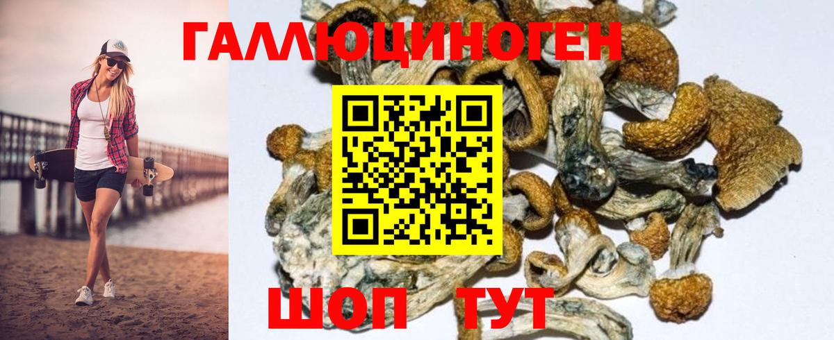 Псилоцибиновые грибы мухоморы  Стерлитамак 